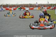 _DSC4355 copie
